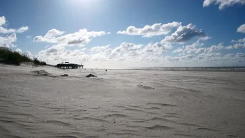 Landscape the wind moves the sand 库存影片 137524078