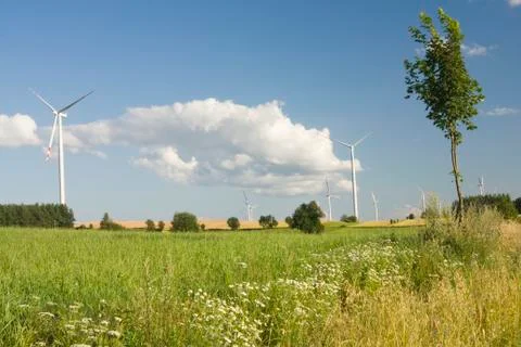 Landscape with windmill Stock Photos