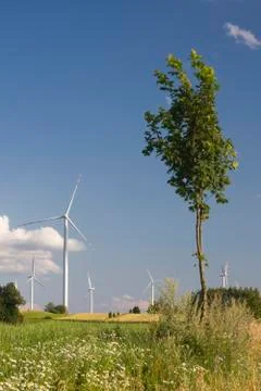 Landscape with windmill Stock Photos