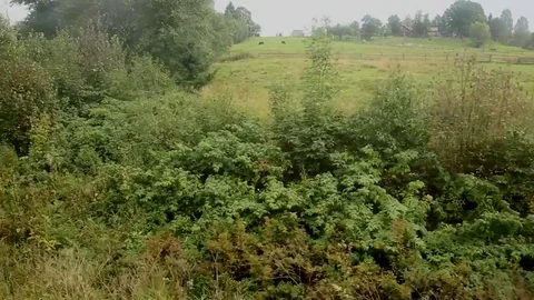 Landscape from the window Stock Footage 71615461