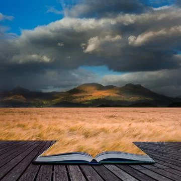Landscape of windy wheat field in front of mountain range with dramatic sky i Illustrazione stock