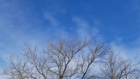 Landscape in winter 3 Stock Footage 102242160