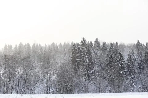 Landscape in the winter cloudy day Stock Photos