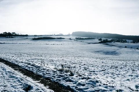 Landscape in winter Eifel Germany in front a field Stock Photos