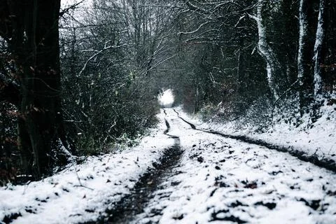 Landscape in winter Eifel Germany Stock Photos