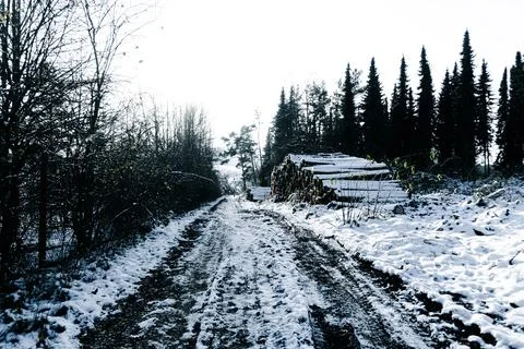 Landscape in winter Eifel Germany Stock Photos