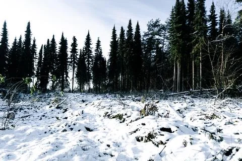 Landscape in winter Eifel Germany Stock Photos