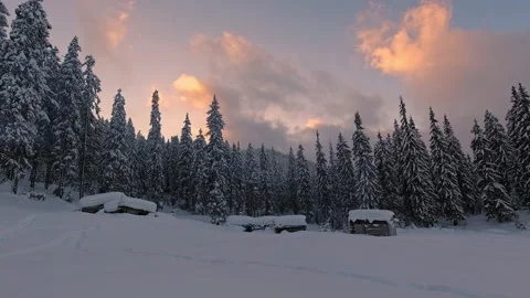 Landscape of a winter evening forest in the Carpathians. Time Lapse Stock Footage 219945875