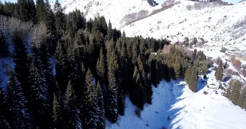 Landscape winter forest. Mountain area. A group of people goes Stock Footage 102482046