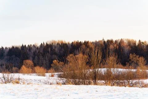 Landscape of a winter forest at sunset in Kernave, Lithuania Stock Photos
