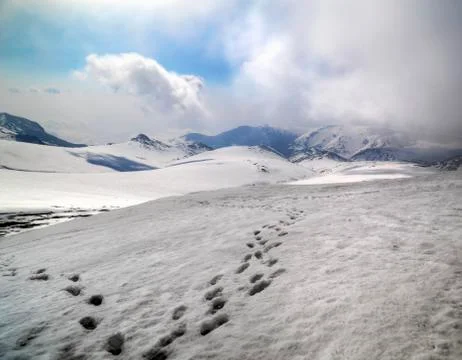 Landscape in winter mountain Stock Photos