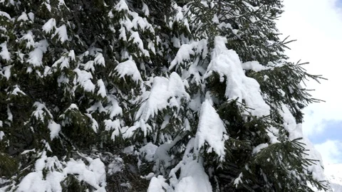 Landscape in winter mountains Stock Footage 87836495