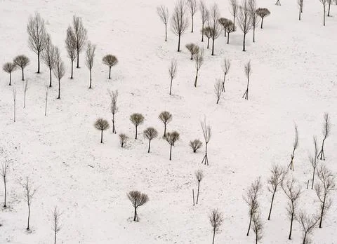 Landscape of the winter park Stock Photos
