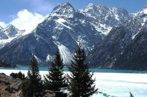 Landscape in winter Stock Photos