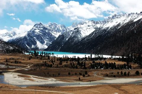 Landscape in winter Stock Photos
