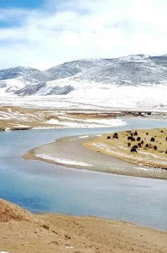 Landscape in winter Stock Photos