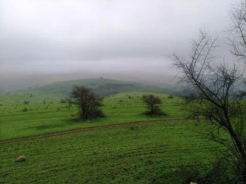 Landscape - Winter Stock Photos