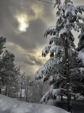 Landscape winter Fotos Stock