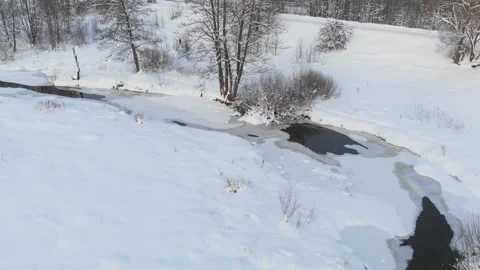 Landscape with winter snow-covered trees. Karelia. Russia Stock Footage 306368209