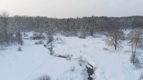 Landscape with winter snow-covered trees. Karelia. Russia Stock Footage 306368925