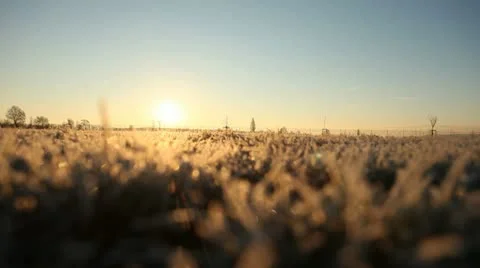 Landscape in Winter with sun Stock Footage 21340223