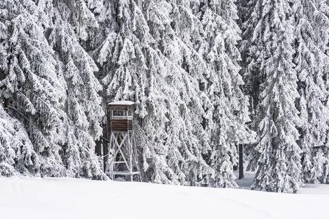 Landscape in winter time in the Thuringian Forest near Schmiedefeld am Rennst Stock Photos
