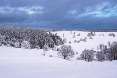 Landscape in winter time in the Thuringian Forest near Schmiedefeld am Rennst Stock Photos