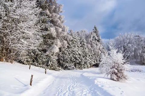 Landscape in winter time in the Thuringian Forest near Schmiedefeld am Rennst Stock Photos