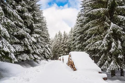 Landscape in winter time in the Thuringian Forest near Schmiedefeld am Rennst Stock Photos