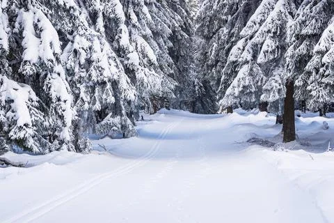 Landscape in winter time in the Thuringian Forest near Schmiedefeld am Rennst Stock Photos