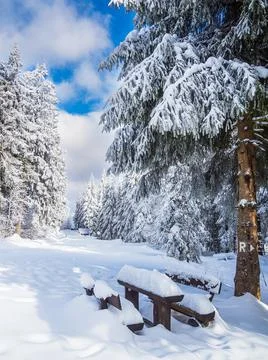 Landscape in winter time in the Thuringian Forest near Schmiedefeld am Rennst Stock Photos