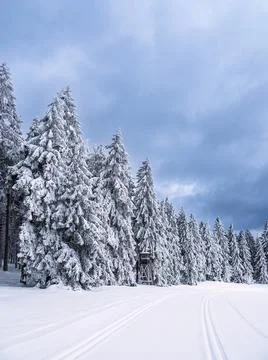 Landscape in winter time in the Thuringian Forest near Schmiedefeld am Rennst Stock Photos