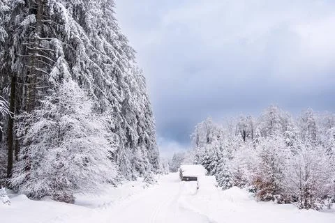 Landscape in winter time in the Thuringian Forest near Schmiedefeld am Rennst Foto stock