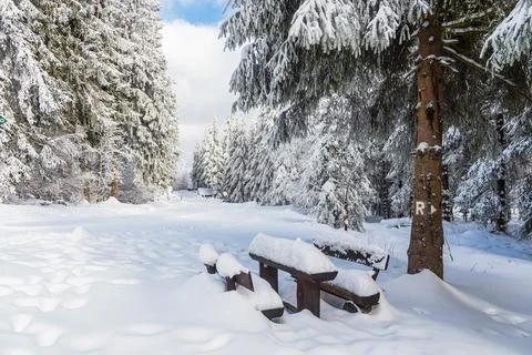 Landscape in winter time in the Thuringian Forest near Schmiedefeld am Rennst Stock Photos