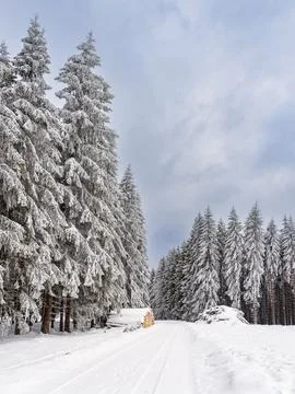 Landscape in winter time in the Thuringian Forest near Schmiedefeld am Rennst Stock Photos