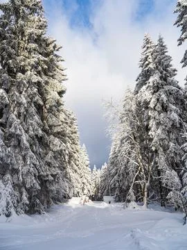 Landscape in winter time in the Thuringian Forest near Schmiedefeld am Renn.. Foto stock