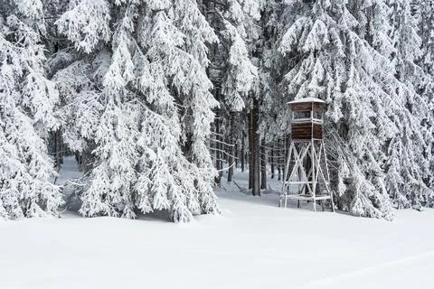 Landscape in winter time in the Thuringian Forest near Schmiedefeld am Renn.. Stock Photos