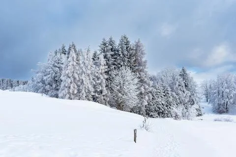 Landscape in winter time in the Thuringian Forest near Schmiedefeld am Renn.. Stock Photos