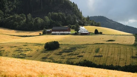 Landscape wit fields, near Skatval, Norway, Scandinavia, Europe. Stock Footage 81339617