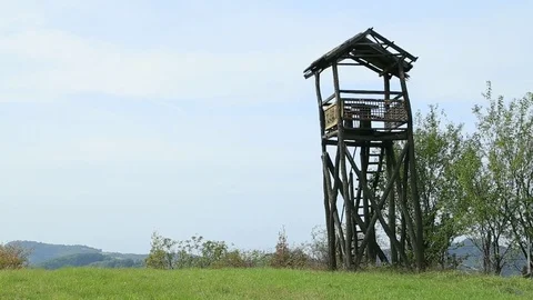 Landscape with wooden watchtower Stock-Footage 75468474