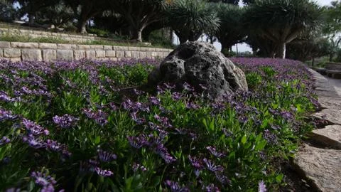 Landscape2 写真素材