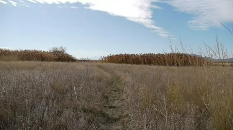 Landscape8 Stock-Footage 608599