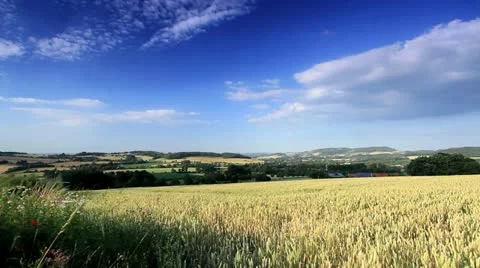Landscape_Westfalia_Germany_wind.mov Stock Footage 11612656