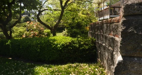 Landscaped back yard in an upscale home in Seattle, Washington. Stock Footage 131484847