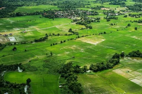 Landscaped high angle view of rice field in countryside Vang Vieng, Laos Stock Photos