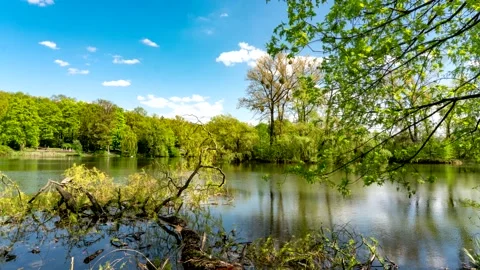 Landscaped pond. Stock Footage 196802457