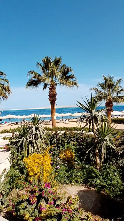 Landscaped resort Stock Footage 336188232