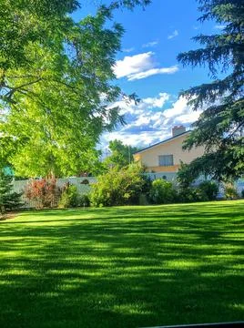 Landscaped yard Foto stock