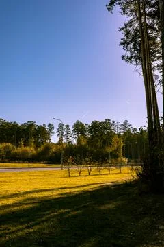 Landscapee Stock Photos