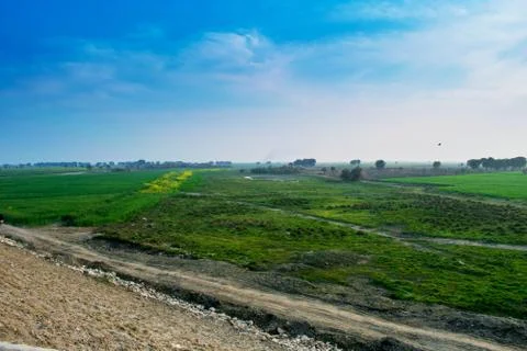 Landscape,green fields with blue sky. Stock Photos